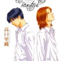   Beautiful Beautiful Beautiful <small>Story & Art</small> 